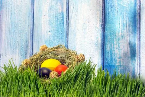 Painted easter eggs in grass nest in grass with shadow of rabbit on blue whit Stock Photos