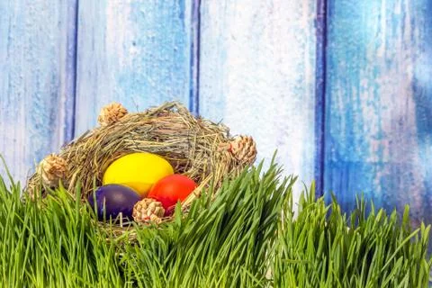Painted easter eggs in grass nest in grass with shadow of rabbit on blue whit Stock Photos