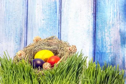 Painted easter eggs in grass nest in grass with shadow of rabbit on blue whit Stock Photos