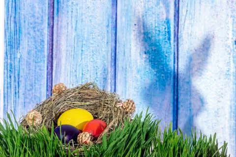 Painted easter eggs in grass nest in grass with shadow of rabbit on blue whit Stock Photos