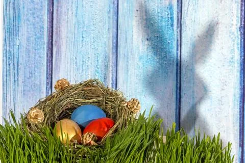 Painted easter eggs in grass nest in grass with shadow of rabbit on blue whit Stock Photos