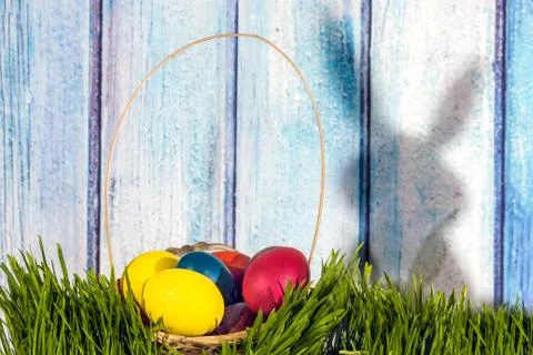 Painted easter eggs in grass nest in grass with shadow of rabbit on blue whit Foto stock