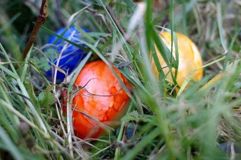 Painted easter eggs in grass Stock Photos