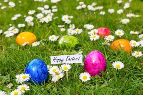 Painted Easter eggs in grass with white daisies Foto stock