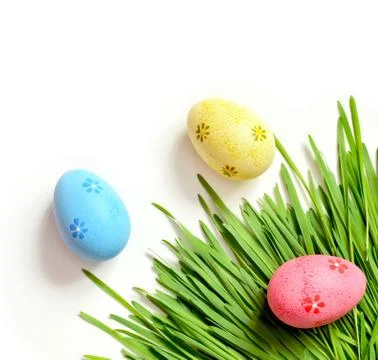 Painted Easter eggs on green grass isolated on white. Stock Photos