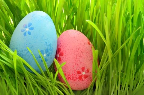 Painted Easter eggs in a green grass on a meadow. Stock Photos