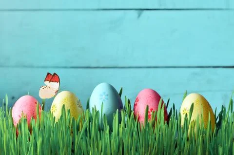 Painted Easter eggs in a green grass on a meadow. Stock Photos