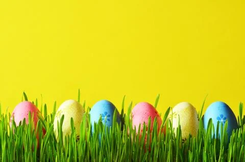 Painted Easter eggs in a green grass on a meadow. Stock Photos