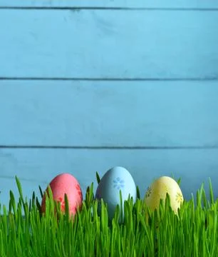 Painted Easter eggs in a green grass on a meadow. Stock Photos