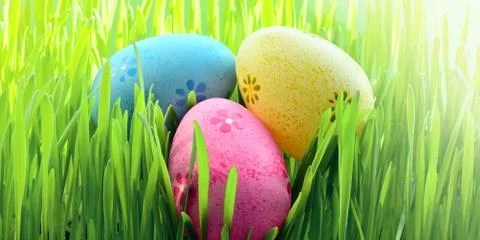 Painted Easter eggs in a green grass on a meadow. Stock Photos