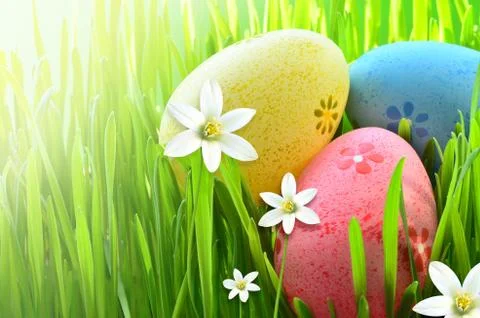 Painted Easter eggs in a green grass on a meadow and flowers. Stock Photos