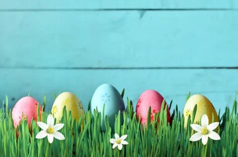 Painted Easter eggs in a green grass on a meadow and flowers. Stock Photos