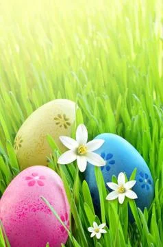 Painted Easter eggs in a green grass on a meadow and flowers. Stock Photos