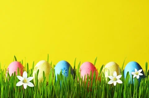 Painted Easter eggs in a green grass on a meadow and flowers. Stock Photos