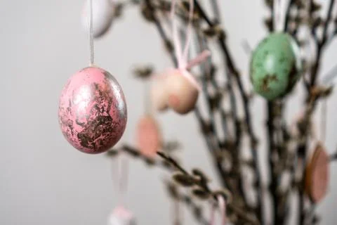 Painted easter eggs hanging from willow tree branches Stock Photos