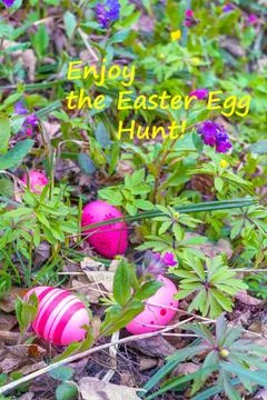 Painted Easter eggs hidden among first spring wildflowers. Greeting inscripti Stock Photos