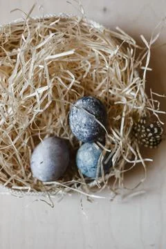 Painted Easter eggs lie in straw plate. empty space for text Stock Photos