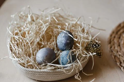 Painted Easter eggs lie in straw plate. empty space for text Stock Photos
