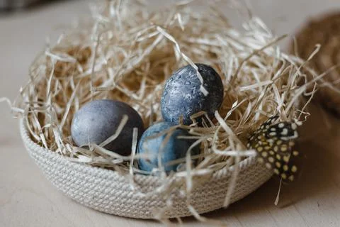 Painted Easter eggs lie in straw plate. empty space for text Stock Photos