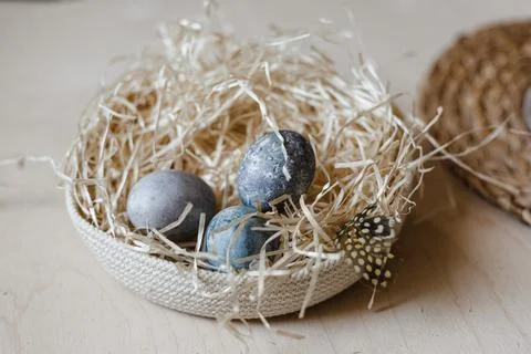 Painted Easter eggs lie in straw plate. empty space for text Stock Photos