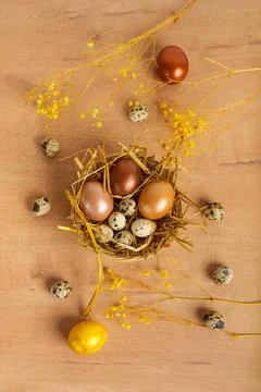 Painted Easter eggs lie in wicker basket on wooden tabletop. are spring flowers Stock Photos