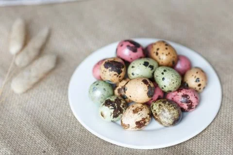 Painted easter eggs lying on white plate Stock Photos