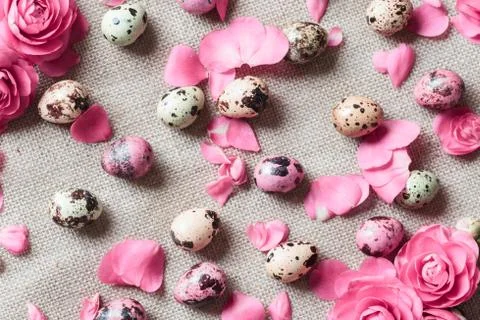 Painted easter eggs lying on white plate Stock Photos