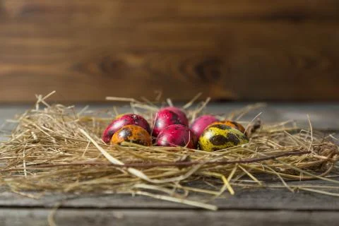 .Painted easter eggs in a makeshift straw nest on a wooden background Stock Photos