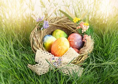Painted Easter eggs in nest with bow and flowers on grass. Happy Easter Stock Photos