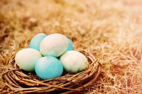 Painted Easter eggs in the nest Stock Photos