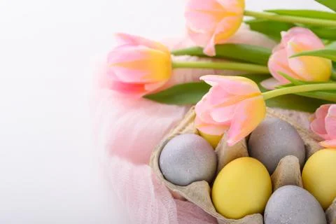 Painted Easter eggs in pastel blue and yellow in cardboard box with pink tuli Stock Photos