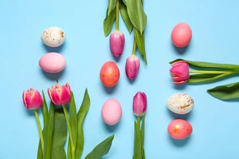 Painted Easter eggs with tulip flowers on blue background Stock Photos