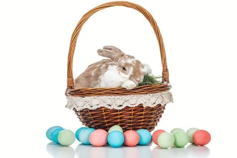 Painted easter eggs wicker basket Stock Photos