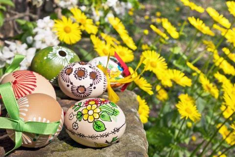 Painted Easter eggs with yellow flowers in the garden Stock Photos