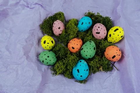 Painted Easter quail eggs isolated on pink textured background with green moss Stock Photos