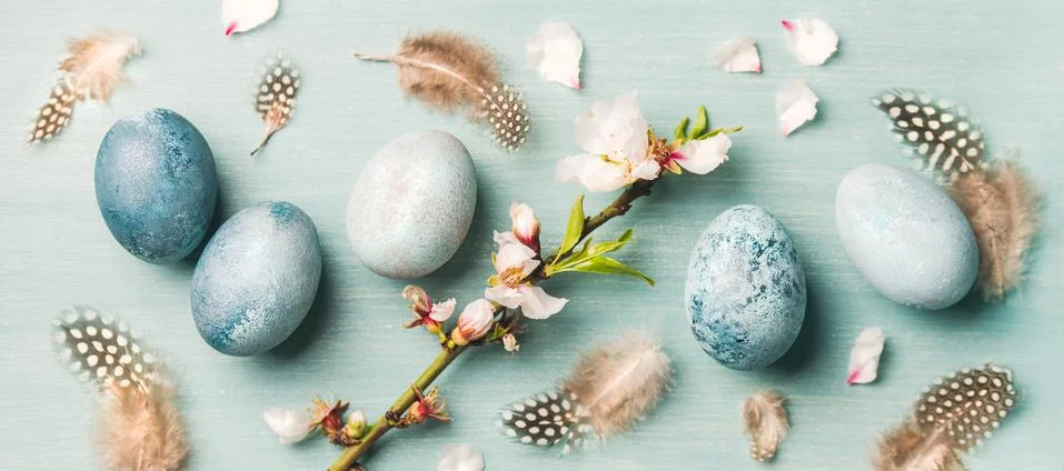 Painted eggs for Easter, feathers, blooming almond flowers, wide composition Stock Photos