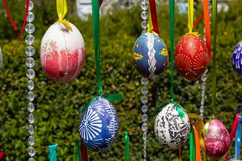 Painted eggs hang from the branches of the Easter tree. The focus is on a yel Stock Photos