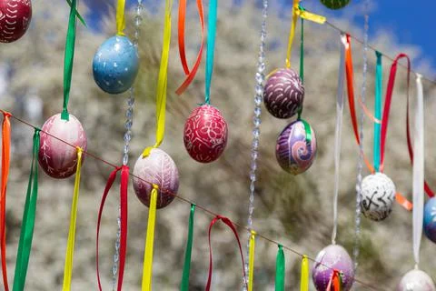 Painted eggs hang from the branches of the Easter tree. The focus is on a yel Stock Photos