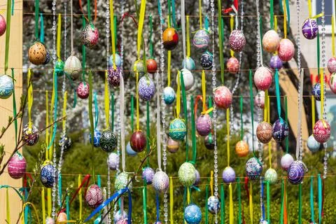 Painted eggs hang from the branches of the Easter tree. The focus is on a yel Stock Photos