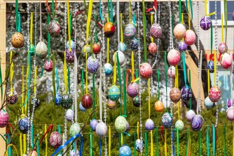 Painted eggs hang from the branches of the Easter tree. The focus is on a yel Stock Photos