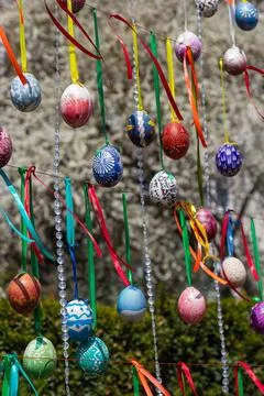 Painted eggs hang from the branches of the Easter tree. The focus is on a yel Stock Photos