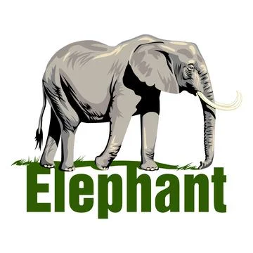 A painted elephant isolated on a white background. Иллюстрация