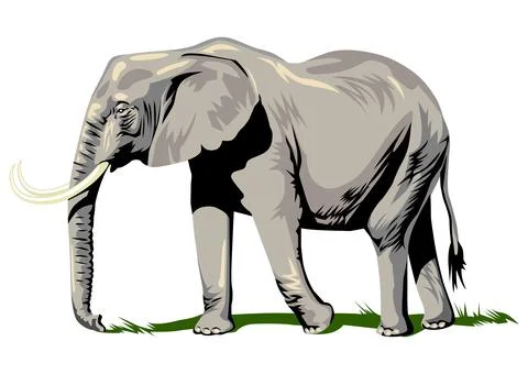 A painted elephant isolated on a white background Illustrazione stock