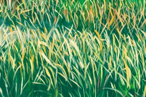 Painted grass texture Stock Photos