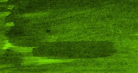Painted Green Stock Footage 112876050