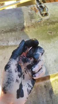 Painted Hand Fotos Stock