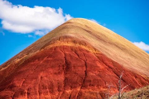 Painted Hill Oregon Stock Photos