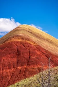Painted Hill Oregon Stock Photos