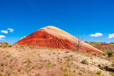 Painted Hill Oregon Stock Photos