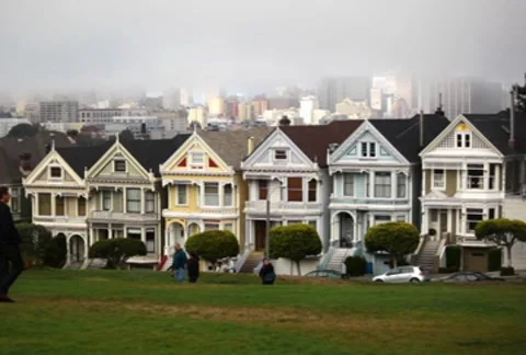 Painted Ladies 03 SD Stock Footage 8921370